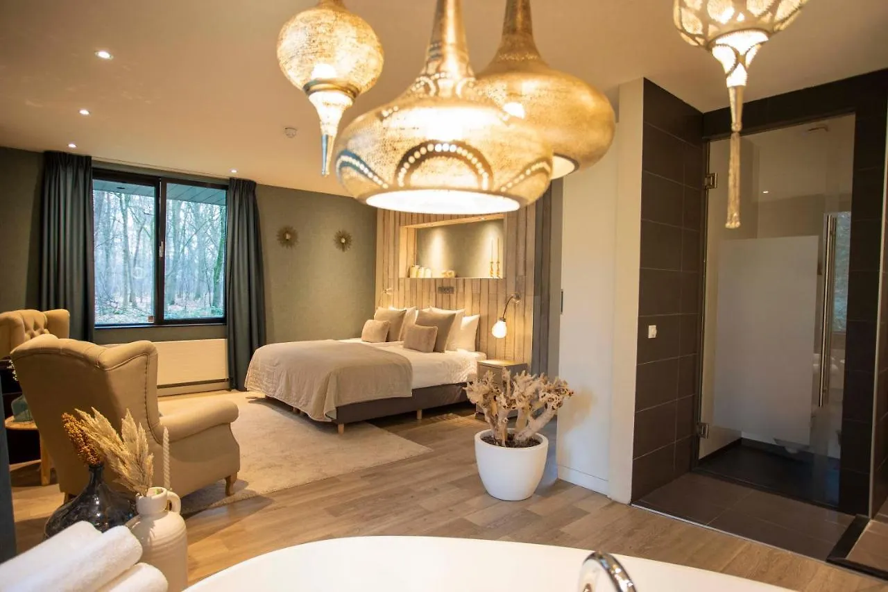****  Boutique Hotel Bed&Bos Best Paesi Bassi